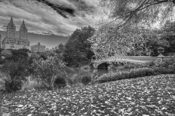 Central park boog brug — Stockfoto