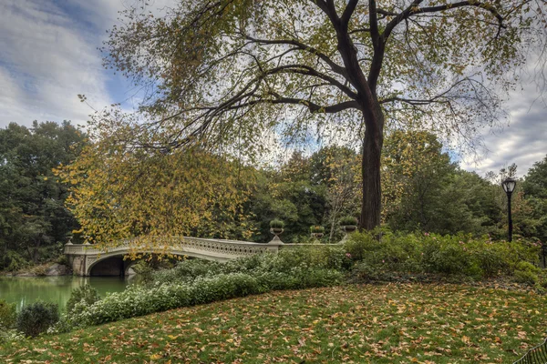 Central Park'a yay Köprüsü — Stok fotoğraf