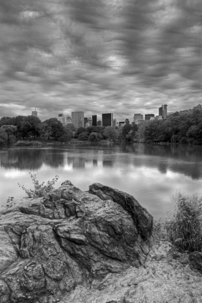 Central park i molnig dag — Stockfoto