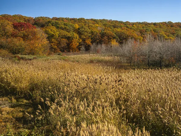 Autumn scene in Harriman State Park — Stock Photo, Image