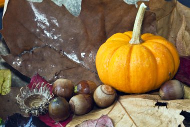 Sonbahar sakin bir hayat