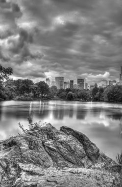 Central park göl