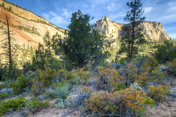 Parc national de Zion — Photo