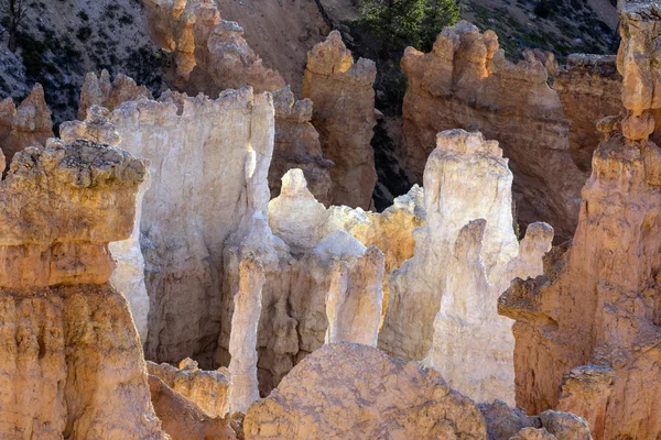 Národní park Bryce Canyon — Stock fotografie