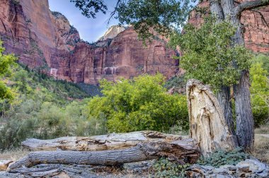 Zion national park