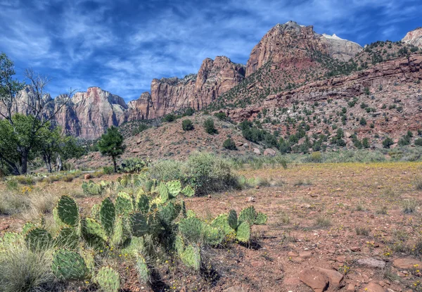 Zion National Park — Stock Photo, Image