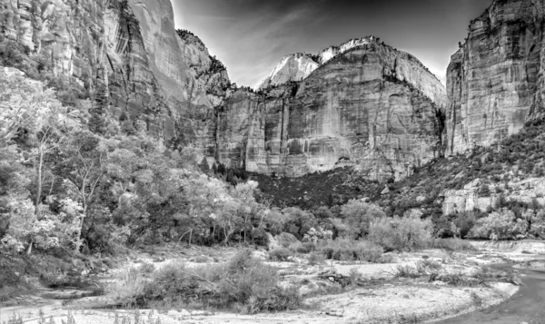 Parc national de Zion — Photo