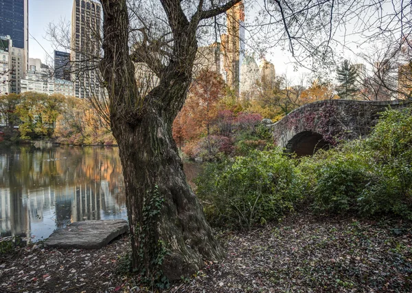Pont Gapstow Central Park, New York — Photo