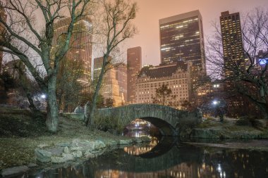 gapstow köprü central park, new york city