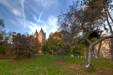 Central Park'a sonbahar