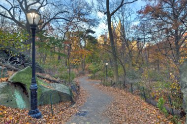Central Park late autumn clipart