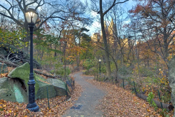 Central park laat in de herfst — Stockfoto