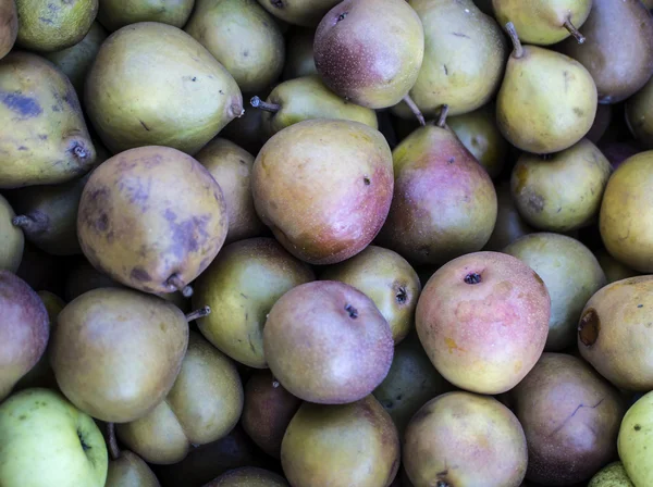 Seckel pear — Stock Photo, Image