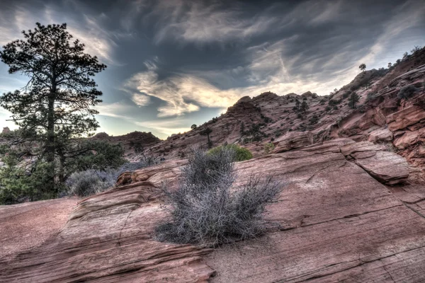 Nationaalpark Zion — Stockfoto