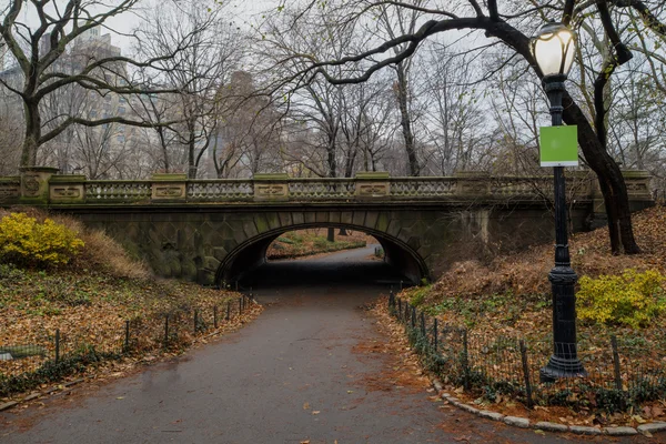 Glade Arch — Stock Photo, Image