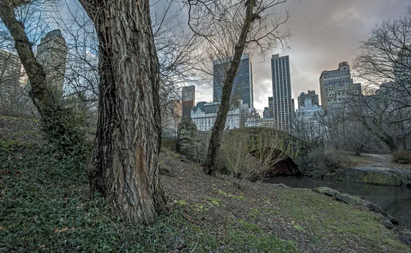 Gapstow köprü central park, new york city — Stok fotoğraf