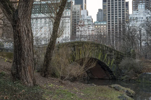 Gapstow Bridge Central Park, New York City — Stockfoto