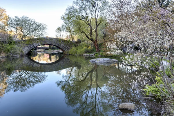 Central Park Gapstow bridge — Stock Photo, Image