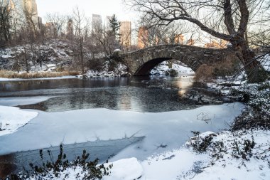 Central Park, New York Şehri