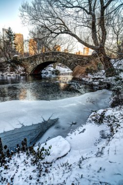 Central Park, New York Şehri