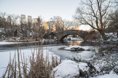 Central Park, New York Şehri