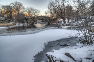 Central Park, New York Şehri