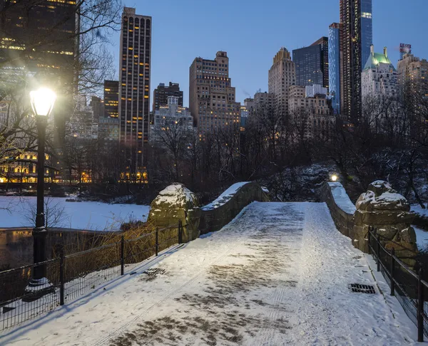 Central Park, Nowy Jork — Zdjęcie stockowe