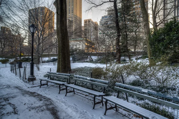 Central Park, New York City — Stockfoto