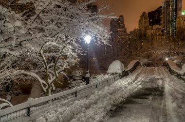 Central Park, New York Şehri
