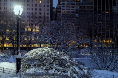 Central park, new york city, gece