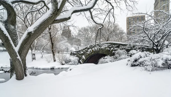 Central Park, New York City — Stock fotografie