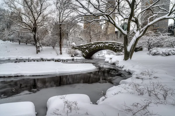 Central Park, New York City — Stockfoto