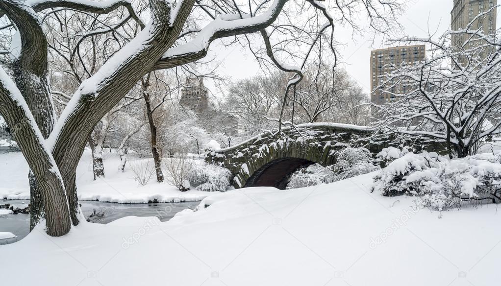 Central Park, New York City