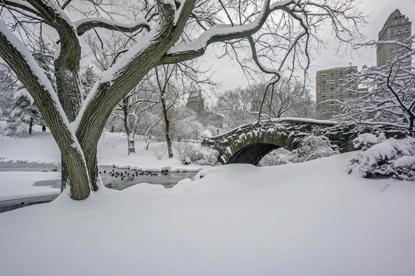 Central Park, New York City Gapstow bridge — Stockfoto