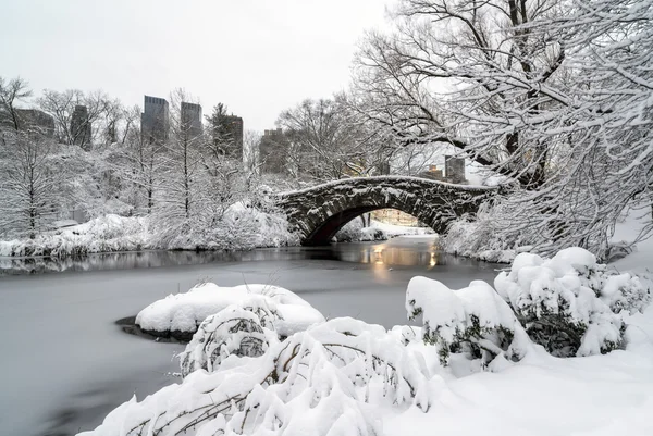 Central Park, New York City — Stock Photo, Image