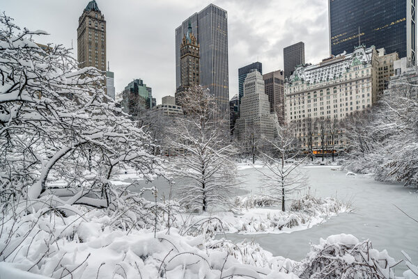 Central Park in New York City in winter after storm