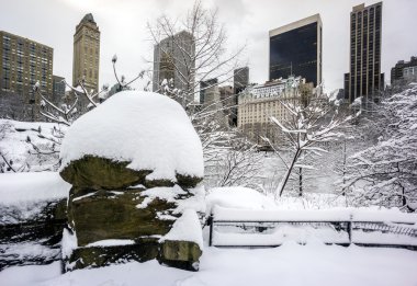 Central park, new york şehri gapstow Köprüsü