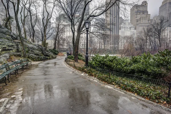 Central Park, Nueva York después de la tormenta de lluvia — Foto de Stock