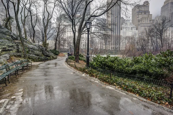 中央公园，纽约城市后雨风暴 图库图片