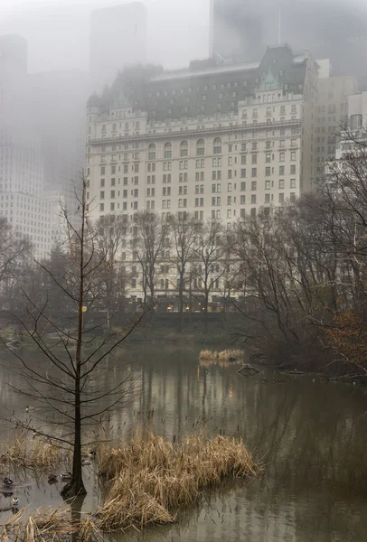 Central park — Stock fotografie