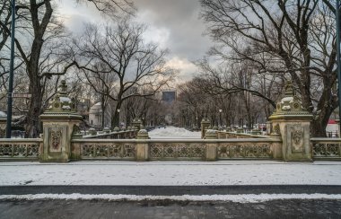 Central park, new york city Teras Köprüsü
