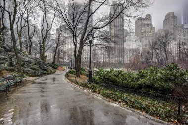 Central park, new york şehir sonra yağmur fırtına