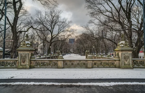 Central park, Nowy Jork taras most — Zdjęcie stockowe