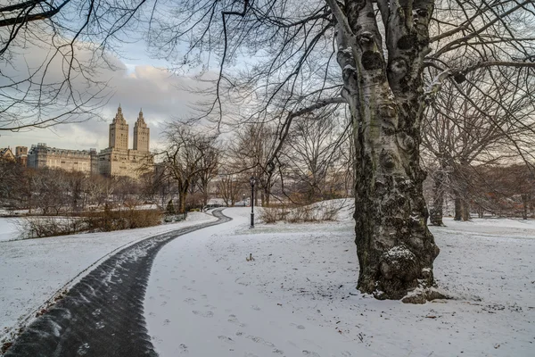 Central park, new york şehri kış