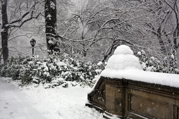 Центральный парк, Нью-Йоркская метель — стоковое фото