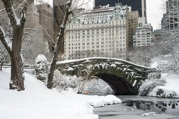 Central Park, New York City — Stockfoto