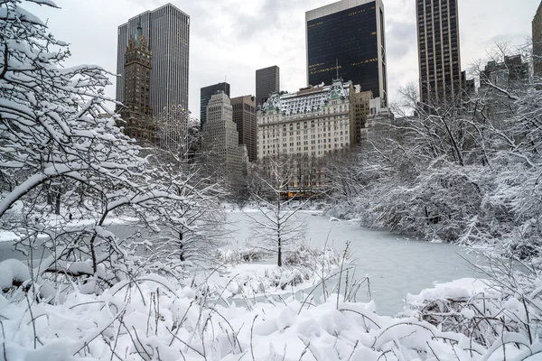 Central park, new York vintern — Stockfoto