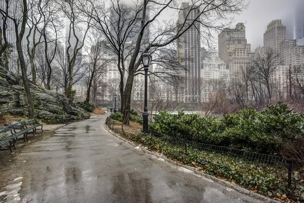 Central Park, Nueva York después de la tormenta de lluvia Imagen de archivo