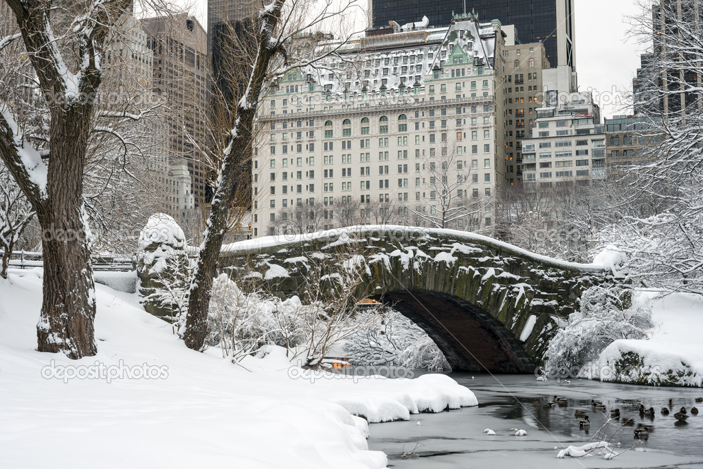 Central Park, New York City