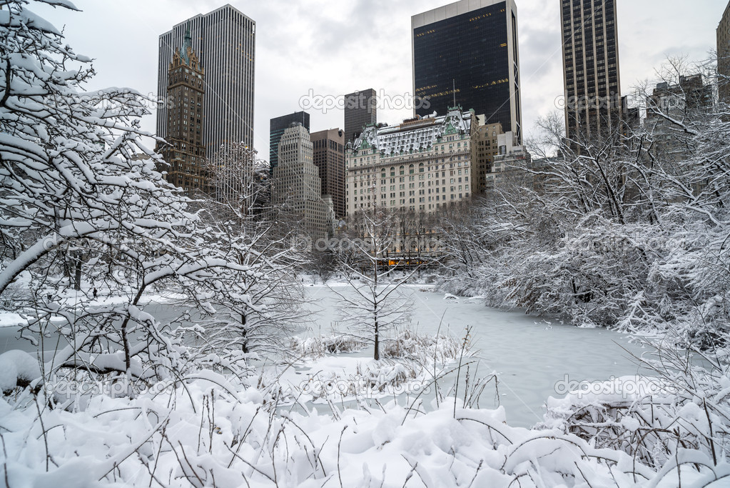 Central Park, New York City winter